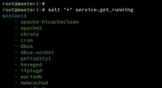 在 Debian 12 上安装 SaltStack 自动化运维框架