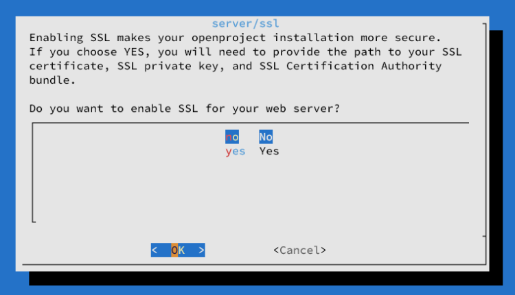 在 Debian 12 上安装 OpenProject 项目管理平台