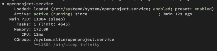 在 Debian 12 上安装 OpenProject 项目管理平台