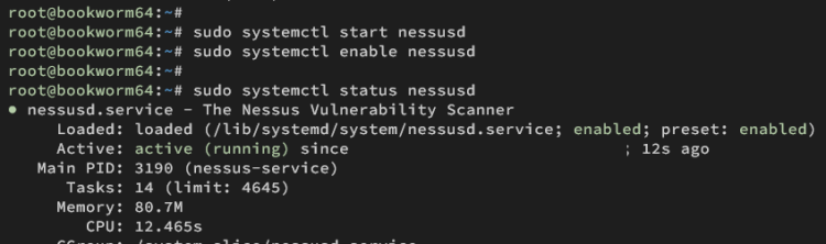 在 Debian 12 上安装 Nessus 漏洞扫描器