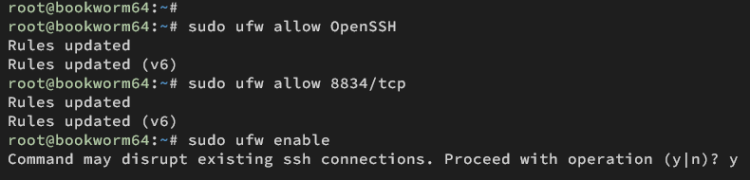 在 Debian 12 上安装 Nessus 漏洞扫描器