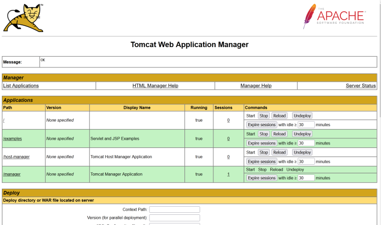 在 Ubuntu 24.04 上安装 Apache Tomcat 并配置 Nginx 反向代理