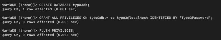 在 Ubuntu 24.04 上安装 TYPO3 CMS 内容管理系统