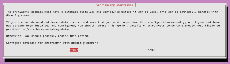 在 Ubuntu 24.04 上安装 phpMyAdmin 数据库管理工具