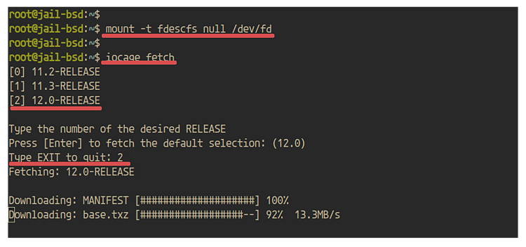 在 FreeBSD 上使用 iocage 创建与管理 Jail 容器