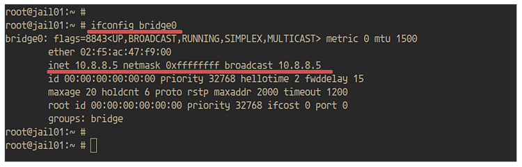 在 FreeBSD 上使用 iocage 创建与管理 Jail 容器
