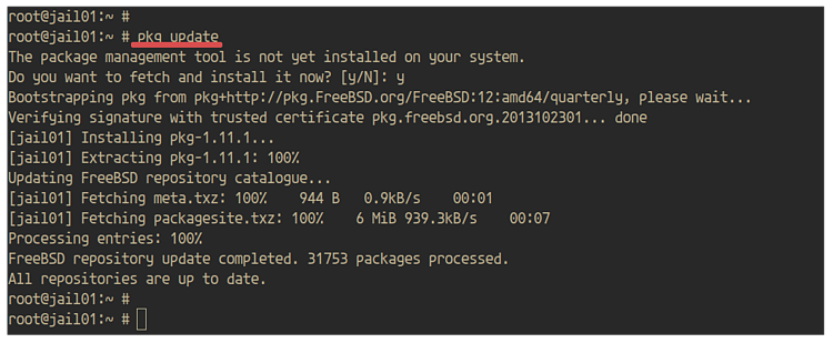 在 FreeBSD 上使用 iocage 创建与管理 Jail 容器