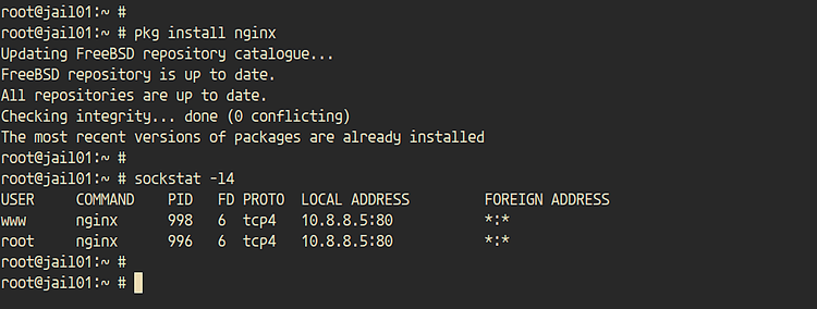 在 FreeBSD 上使用 iocage 创建与管理 Jail 容器
