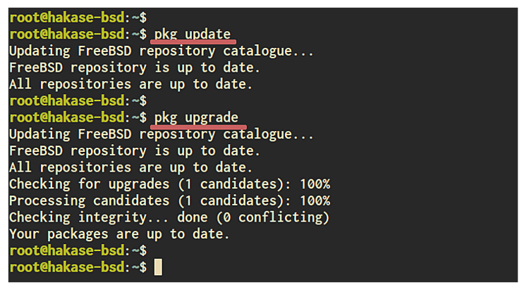 在 FreeBSD 上安装与配置 ProFTPD 文件传输服务