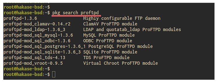 在 FreeBSD 上安装与配置 ProFTPD 文件传输服务