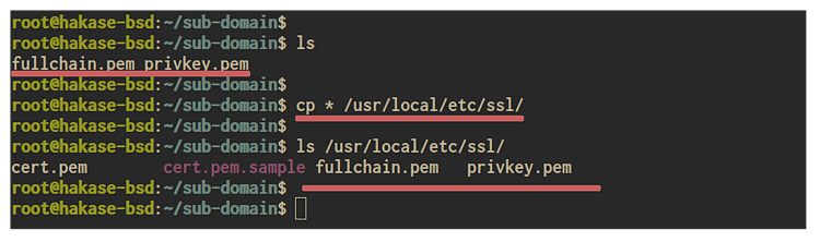 在 FreeBSD 上安装与配置 ProFTPD 文件传输服务