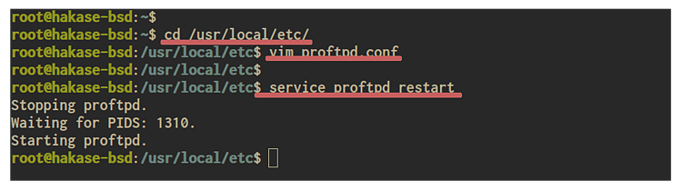在 FreeBSD 上安装与配置 ProFTPD 文件传输服务