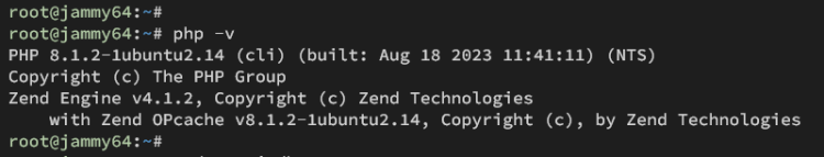 在 Ubuntu 22.04 上安装 SolidInvoice 发票管理系统