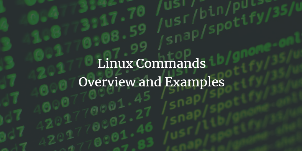 Linux 常用命令大全（含示例与说明）