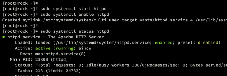 在 Rocky Linux 9 上安装 Pydio Cells 文件共享平台