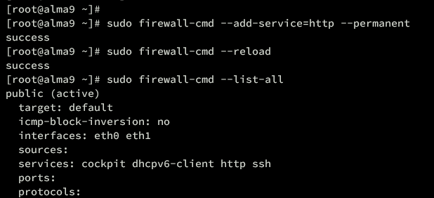 在 AlmaLinux 9 上安装 Nagios Core 监控系统