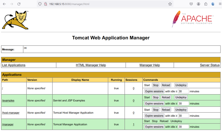 在 Debian 12 上安装 Apache Tomcat 10 并配置 Nginx 反向代理