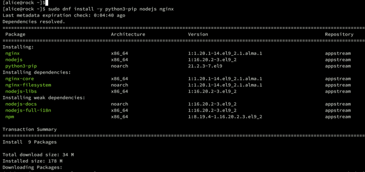 在 Rocky Linux 9 上安装 JupyterLab