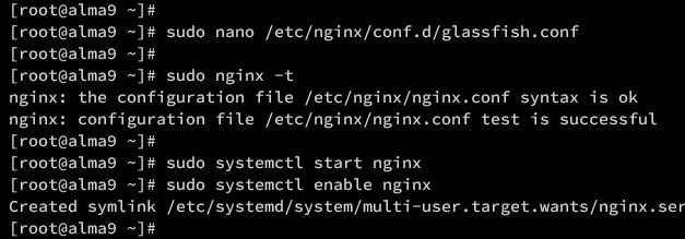 在 AlmaLinux 9 上使用 Nginx 反向代理安装 GlassFish Java 应用服务器