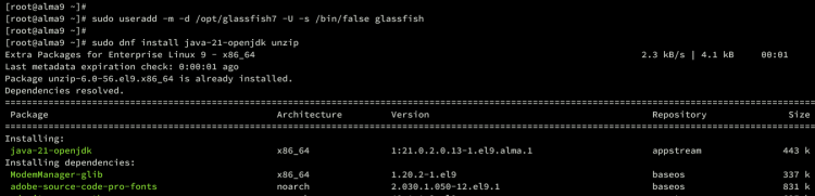 在 AlmaLinux 9 上使用 Nginx 反向代理安装 GlassFish Java 应用服务器