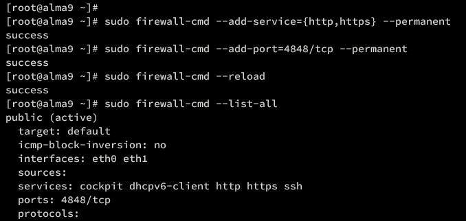 在 AlmaLinux 9 上使用 Nginx 反向代理安装 GlassFish Java 应用服务器