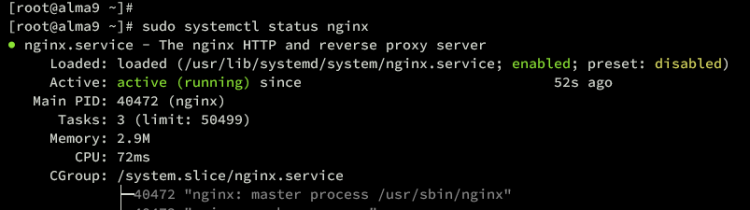 在 AlmaLinux 9 上使用 Nginx 反向代理安装 GlassFish Java 应用服务器