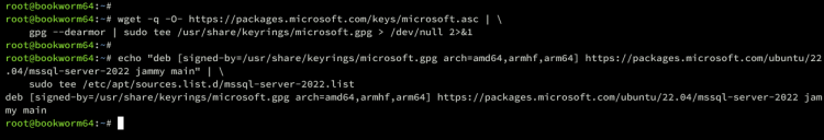 在 Debian 12 上安装 Microsoft SQL Server