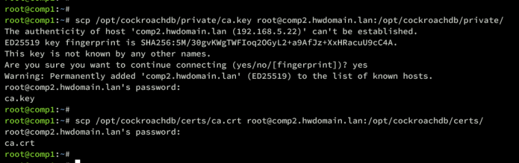 在 Debian 12 上安装 CockroachDB 集群