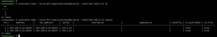在 Debian 12 上安装 CockroachDB 集群