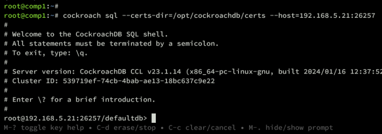 在 Debian 12 上安装 CockroachDB 集群