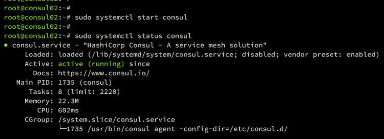 在 Ubuntu 22.04 上安装 Consul 服务网格