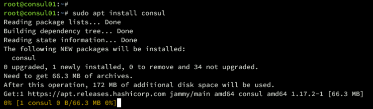 在 Ubuntu 22.04 上安装 Consul 服务网格