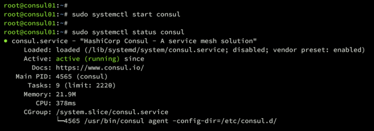 在 Ubuntu 22.04 上安装 Consul 服务网格