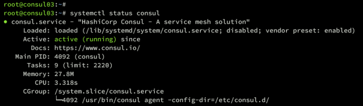 在 Ubuntu 22.04 上安装 Consul 服务网格