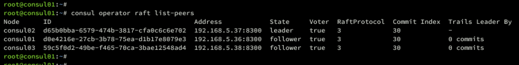 在 Ubuntu 22.04 上安装 Consul 服务网格