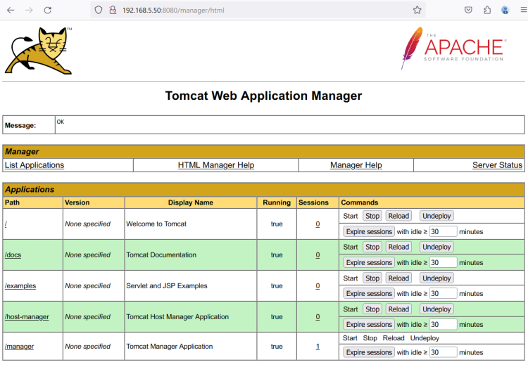在 AlmaLinux 9 上使用 Nginx 反向代理安装 Apache Tomcat