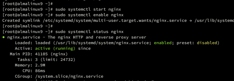 在 AlmaLinux 9 上使用 Nginx 反向代理安装 Apache Tomcat