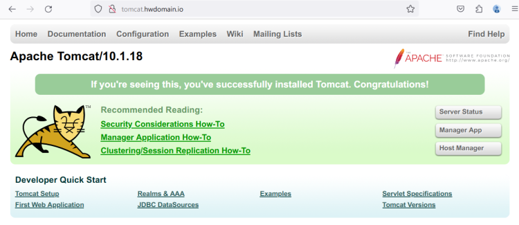 在 AlmaLinux 9 上使用 Nginx 反向代理安装 Apache Tomcat