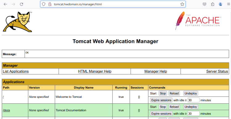 在 AlmaLinux 9 上使用 Nginx 反向代理安装 Apache Tomcat