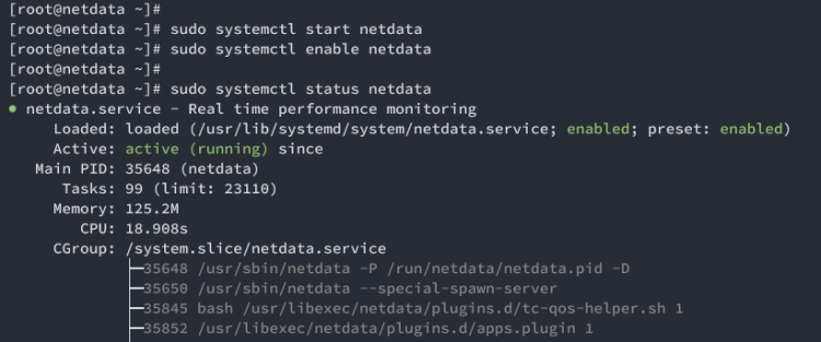 在 AlmaLinux 9 上安装 Netdata 实时性能监控