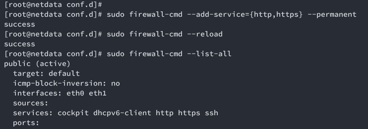在 AlmaLinux 9 上安装 Netdata 实时性能监控