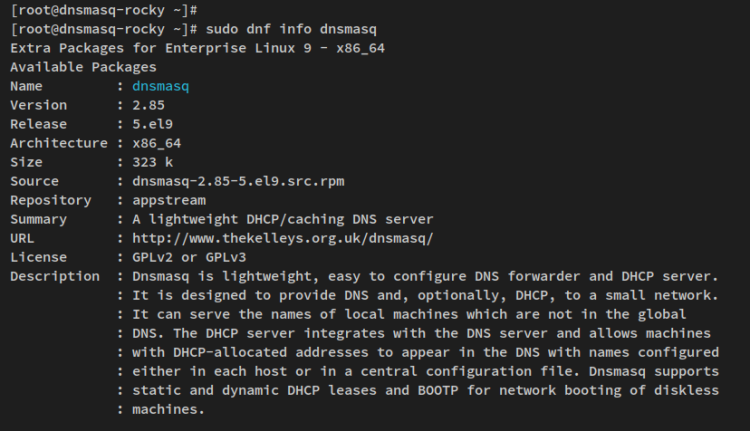 在 Rocky Linux 上用 dnsmasq 搭建本地 DNS 服务器