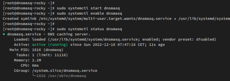 在 Rocky Linux 上用 dnsmasq 搭建本地 DNS 服务器