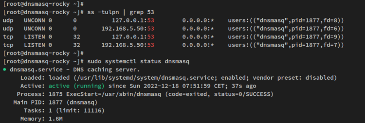 在 Rocky Linux 上用 dnsmasq 搭建本地 DNS 服务器