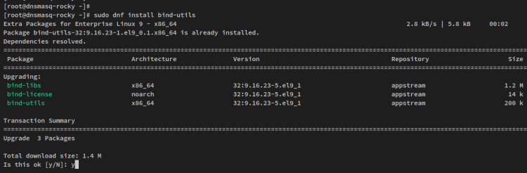 在 Rocky Linux 上用 dnsmasq 搭建本地 DNS 服务器