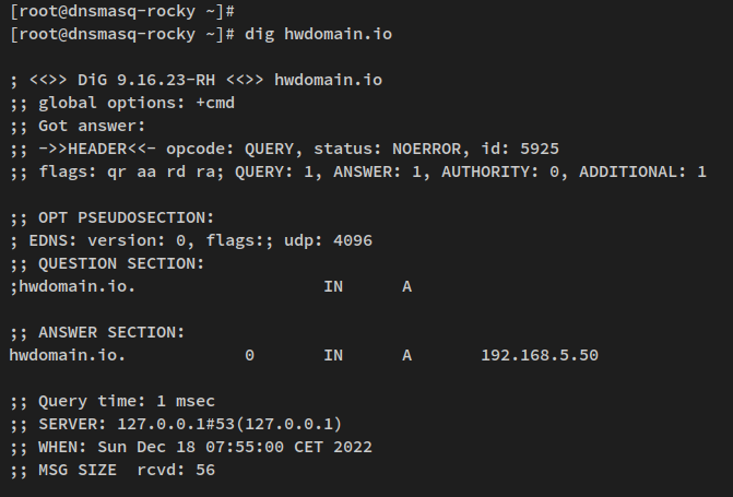在 Rocky Linux 上用 dnsmasq 搭建本地 DNS 服务器
