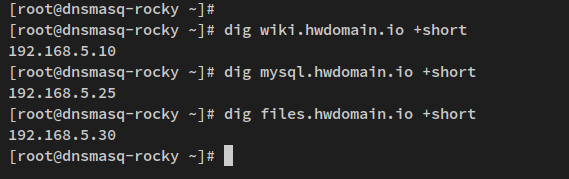 在 Rocky Linux 上用 dnsmasq 搭建本地 DNS 服务器