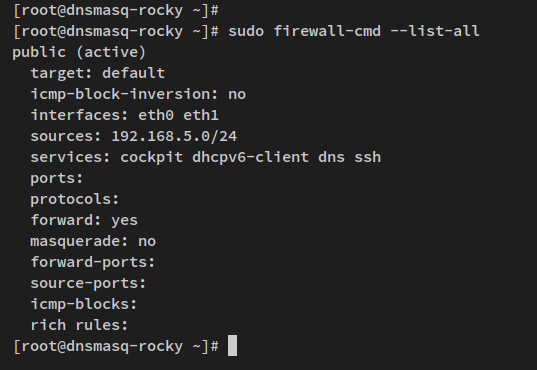在 Rocky Linux 上用 dnsmasq 搭建本地 DNS 服务器