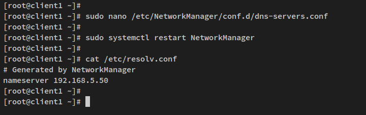 在 Rocky Linux 上用 dnsmasq 搭建本地 DNS 服务器