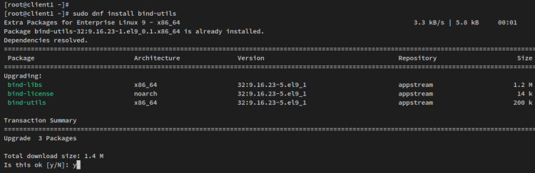 在 Rocky Linux 上用 dnsmasq 搭建本地 DNS 服务器